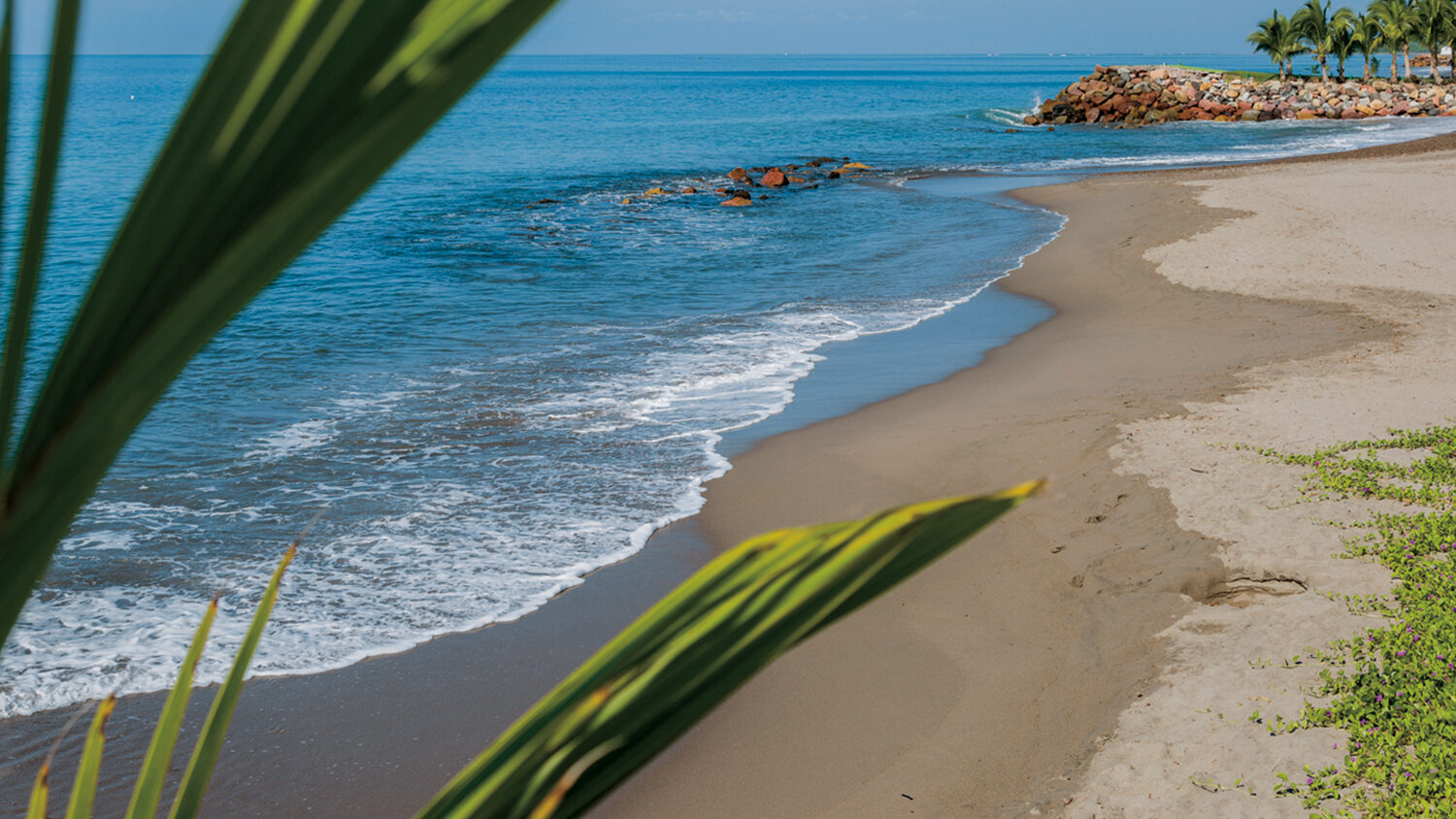 3 Experiences You Must Try in 3 Riviera Nayarit Magical Towns ...